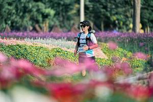 BIB: 
                            <button type="button" onclick="openModal(25934021)" class="btn btn-primary btn-sm float-right btn-popup" data-toggle="modal" data-target=".modal-high-quality">
                        <i class="fas fa-shopping-cart"></i> Add to Cart
                    </button>
                                            <button type="button" onclick="isThisMe(25934021, true)" class="btn btn-success btn-sm float-right btn-popup btn-isme hidden" data-toggle="tooltip" data-placement="bottom" title="นี่คือรูปของคุณใช่ไหม คลิกที่นี่เพื่อเอาเข้าอัลบั้ม">
                        <i class="fas fa-plus"></i> Add to album
                    </button>
                    <button type="button" onclick="isThisMe(25934021, false)" class="btn btn-warning btn-sm float-right btn-popup btn-isnotme hidden">
                        <i class="fas fa-ban"></i> Remove from album
                    </button>